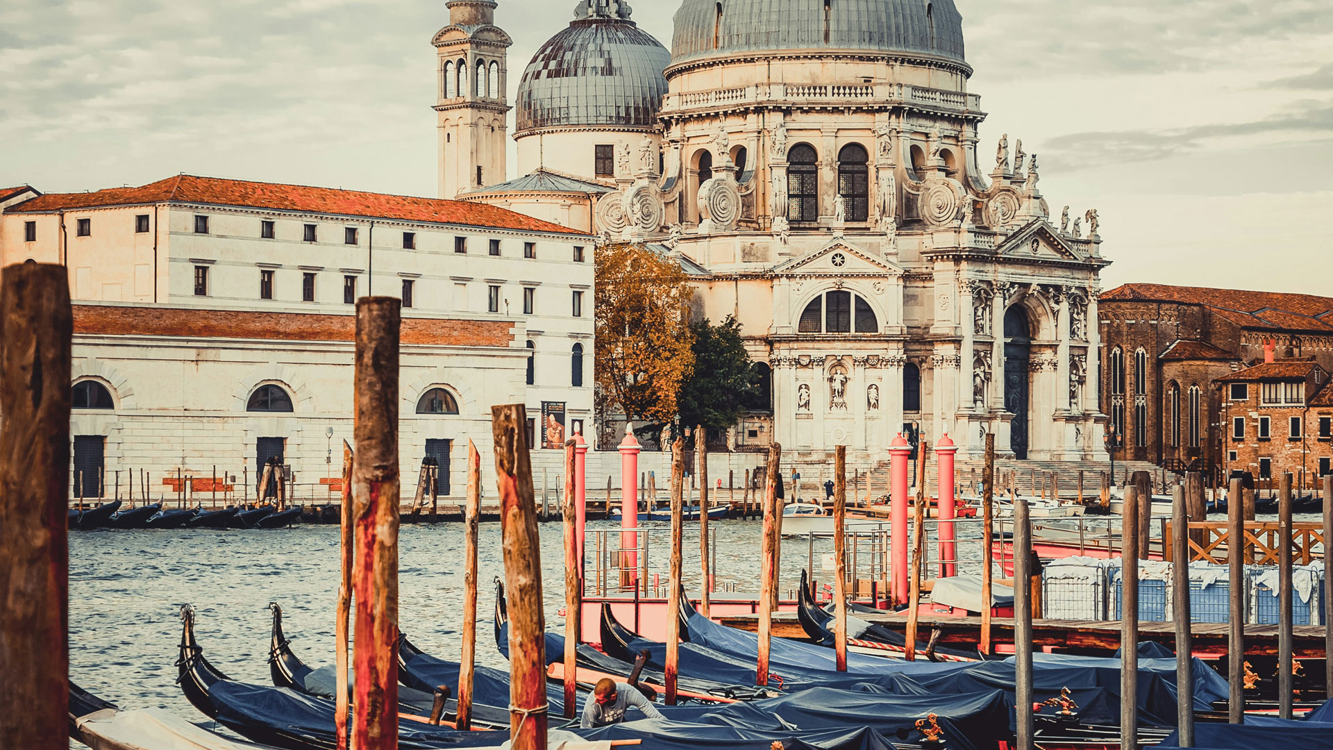 SHLTR_Travel_1