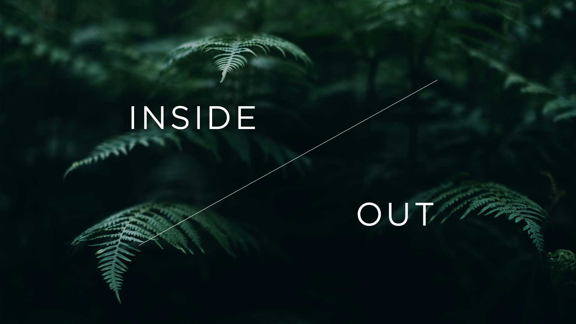 SHLTR_Competition_Inside-Out_01